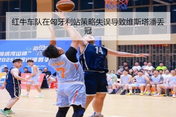 红牛车队在匈牙利站策略失误导致维斯塔潘丢冠