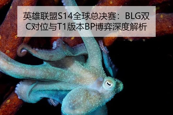 ying-xiong-lian-meng-quan-qiu-zong-jue-sai-shuang-dui-wei-yu-ban-ben-bo-yi-shen-du-jie-xi-3-693.jpg