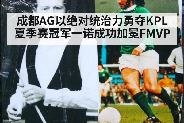 成都AG以绝对统治力勇夺KPL夏季赛冠军一诺成功加冕FMVP - Milan