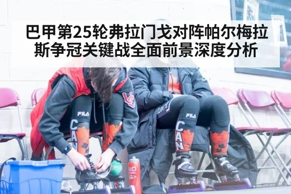 巴甲第25轮弗拉门戈对阵帕尔梅拉斯争冠关键战全面前景深度分析